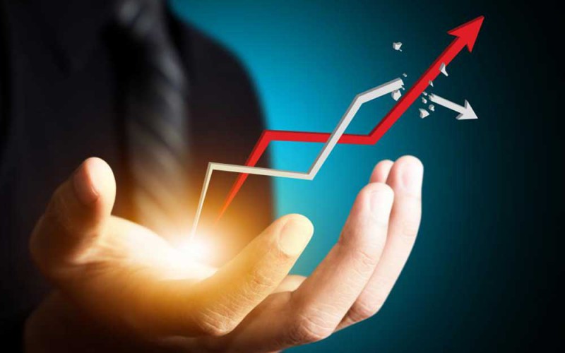 Software Analyst and consultant